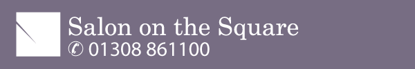 salon logo
